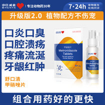 Shenyaweable Puppy stomatitis Mouth Ulcer drool Oral Cat Ulcer kittens Pussymouth Red and Gingival Red and Inflammation Inflammation