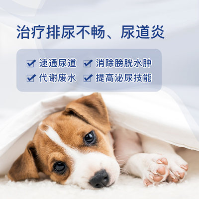 猫咪尿频尿血尿路感染利尿通猫狗狗泌尿系统尿道炎宠物消炎药结石 虎窝淘