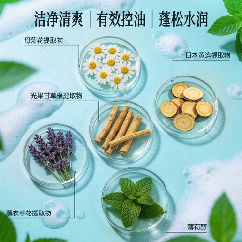 &honey安蒂花子控油保湿洗发水洁净秀发丰盈蓬松洗发露男女通用 - 图0