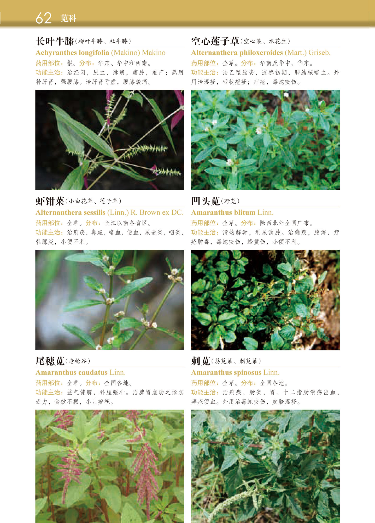 正版 常用中草药图谱2700种 中草药鉴别辨别方法中草药名称 中草药鉴别辨别方法 中草药品种种类分类形态形 中草药野外识别手书籍