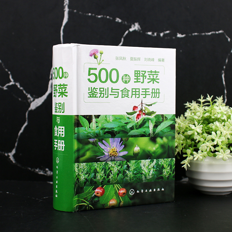 正版 500种野菜鉴别与食用手册 植物别名学名科属识别特征分布及生境营养及药用功效食用部位及方法毒性 植物爱好者阅读参考图书籍 - 图0