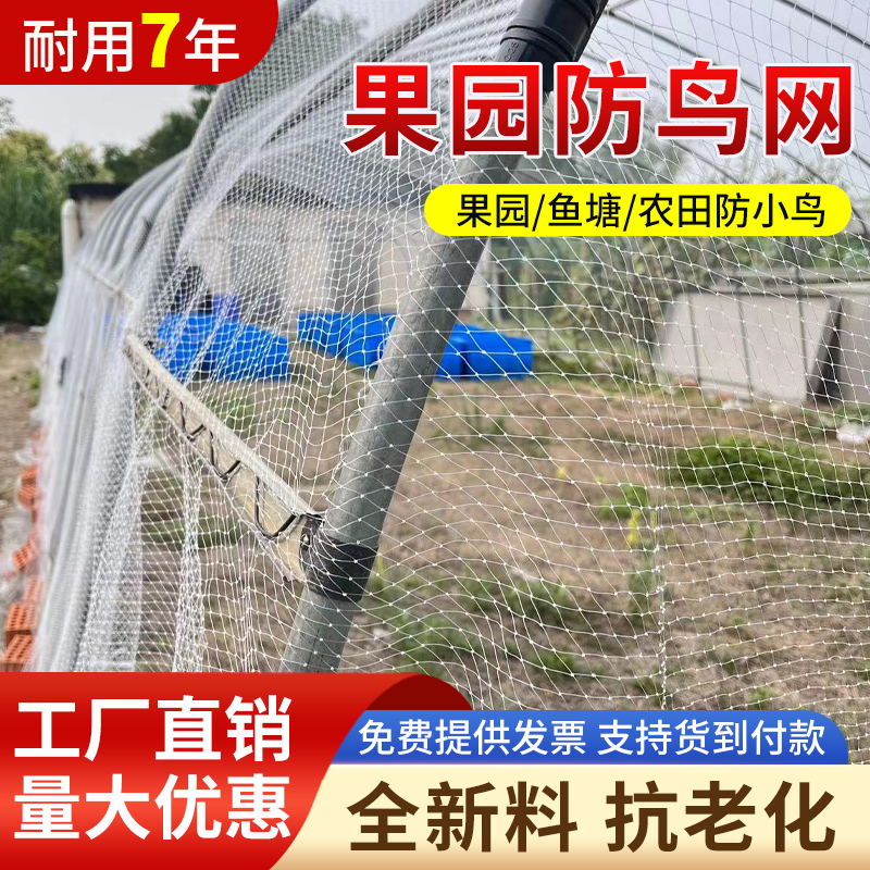 防鸟网草莓大棚果树樱桃葡萄果园防鸟用网尼龙棕丝网农业鱼塘天网 - 图0
