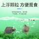 ອາຫານເຕົ່າພິເສດຂອງຈີນທົ່ວໄປ