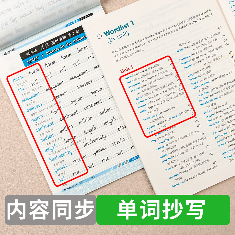 译林版衡水体高中英语字帖必修第一册第二册第三册高一二三学生教材同步邹慕白字帖男生女生漂亮字体练字本高考必备练字帖 - 图2