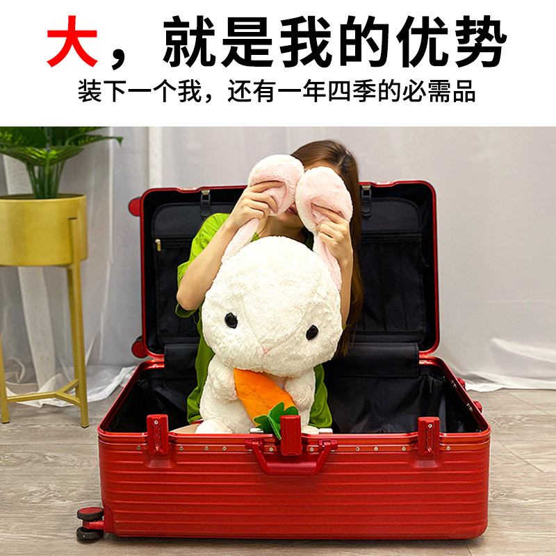 密码皮箱子 独行狼旅行箱