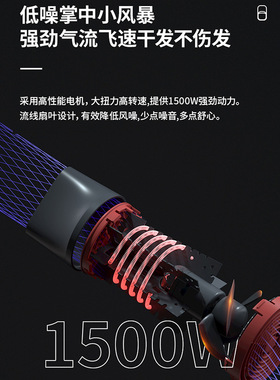 Lowra rouge罗拉家用电吹风机负离子护发大功率吹风筒宿舍用学生
