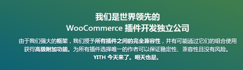 YITH Woocommerce动态报价折扣插件 Dynamic Pricing & Discoun - 图0