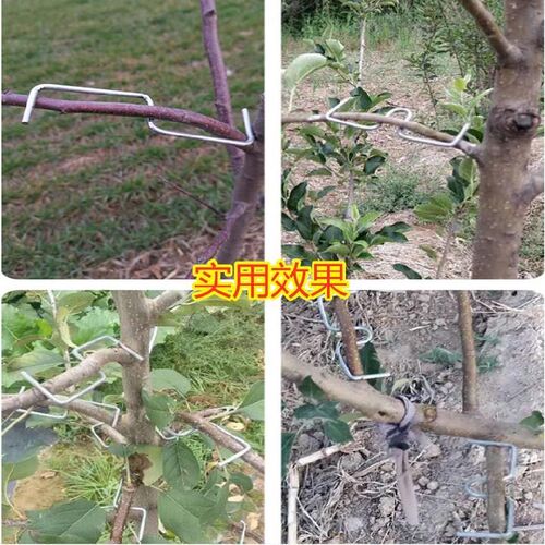 拉枝器果树定型器拿弯器树木整型角度树枝拉直压弯.苹果梨树林 - 图2