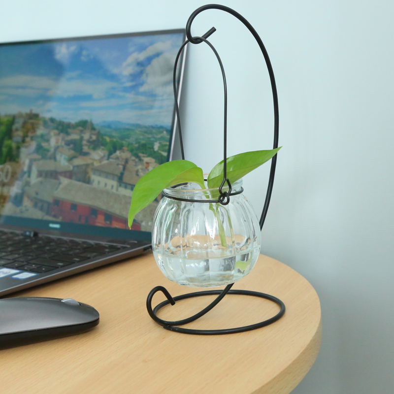 悬挂玻璃花瓶创意透明摆件水培水养植物吊瓶居家室内客厅装饰瓶 - 图2