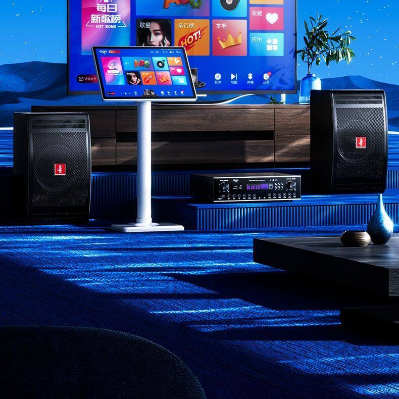  音之源电器KTV/卡拉OK音箱