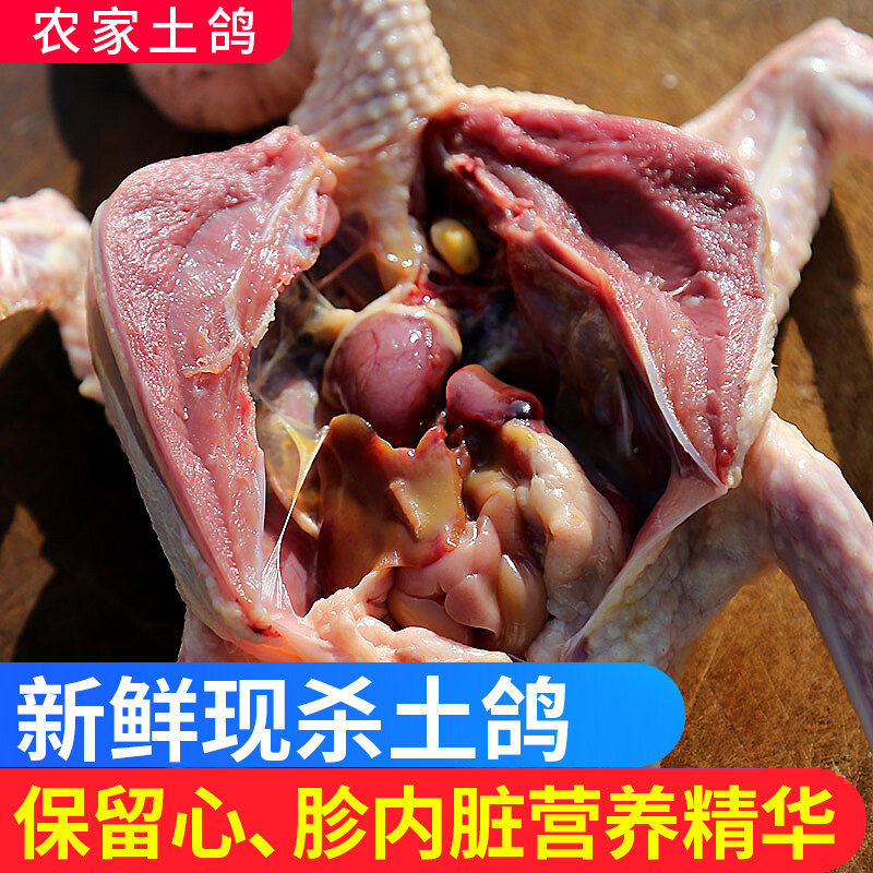 新鲜乳鸽农家散养肉鸽野鸽子 热品库 性价比省钱购