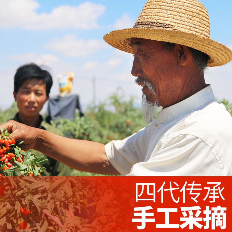 头茬宁夏特级500g免洗中宁枸杞茶 梦之杞枸杞