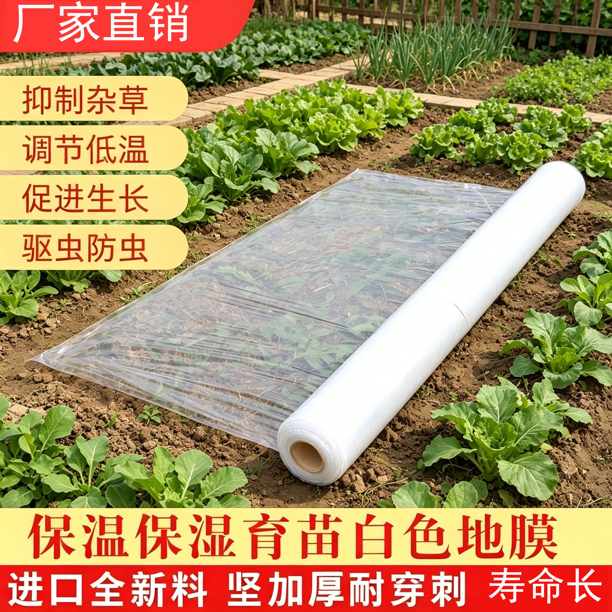 White mulch agricultural film plastic orchard greenhouse film