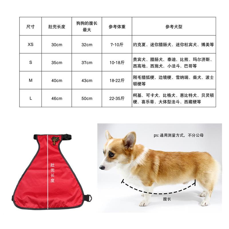 宠物狗狗肚兜护肚子保暖防着凉夏季衣服柴犬夏天雨衣防脏防水薄款-图2