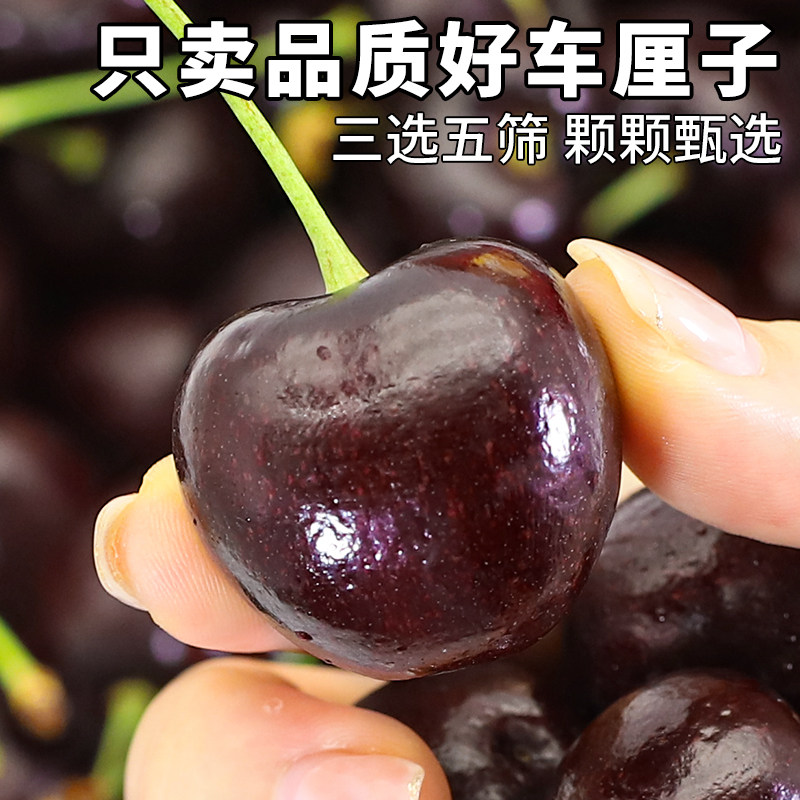  顶掌柜车厘子/樱桃