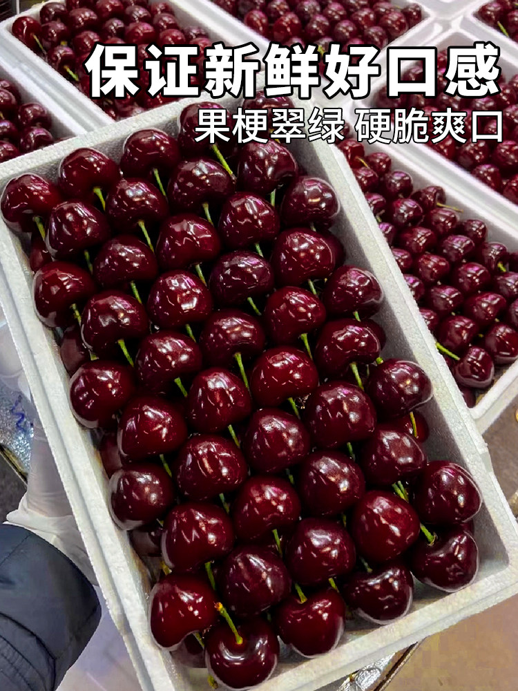  顶掌柜车厘子/樱桃