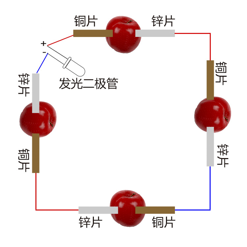 学生科学实验水果电池 可乐土豆发电铜片锌片儿童小制作led灯材料 - 图0