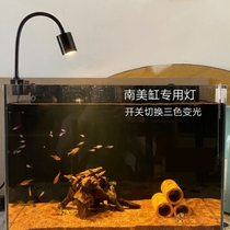 South American cylinder LED spotlight New toning version Water group Spotlight Native View Spotlight Fish Tank Spotlight Clip