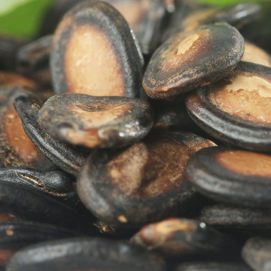 Naturally Good Fruit, Roasted Nuts, Watermelon Seeds