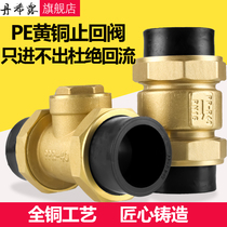 PE to water pipe check valve copper-lying vertical double-live backstop valve water pipe backstop valve 4 6 points DN20 25