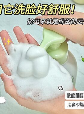 山茶花氨基酸补水清洁毛孔慕斯