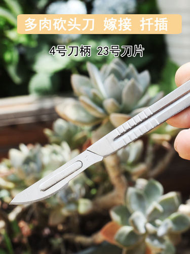 艺术秀园艺多肉砍头刀嫁接刀工具组合芽接刀不锈钢月季嫁接十二卷 - 图0