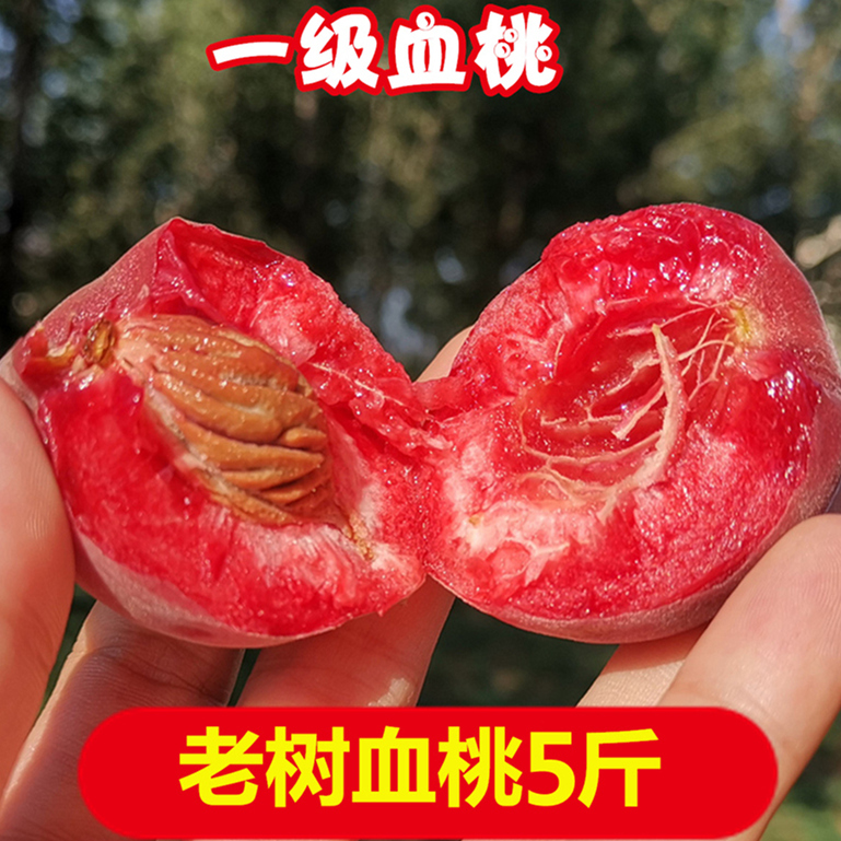 小球娃旗舰店新鲜助农血桃5斤应季红心水果当季顺丰整箱吃货湖北10水蜜桃桃子0