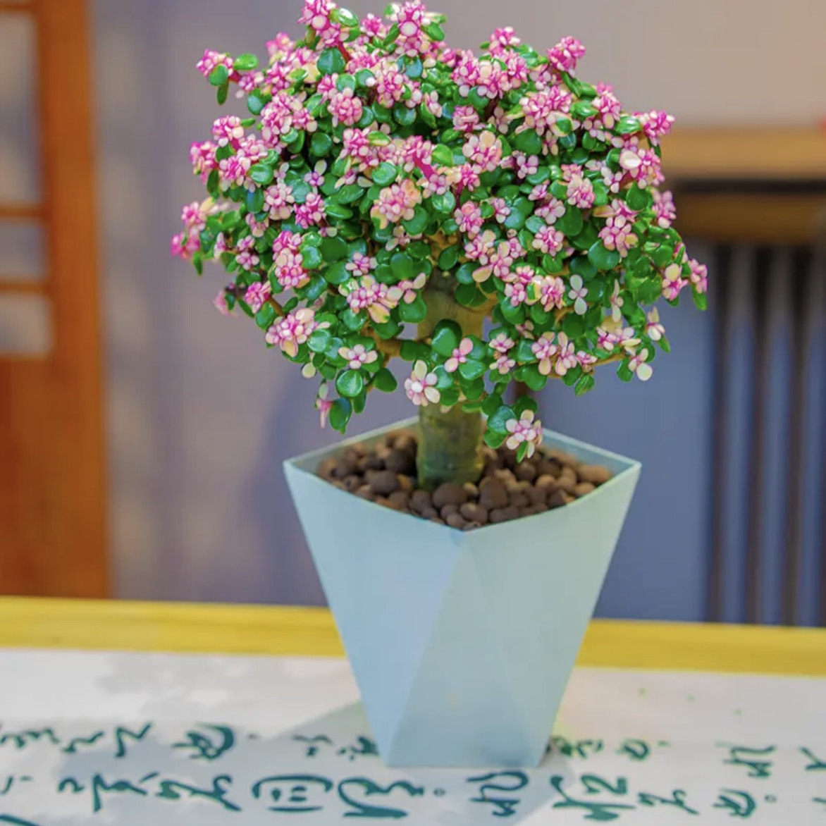图5