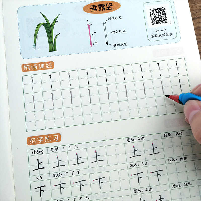 汉字笔画笔顺 新人首单立减十元 21年8月 淘宝海外 汉字笔画笔顺 新人首单立减十元 21年8月 淘宝海外