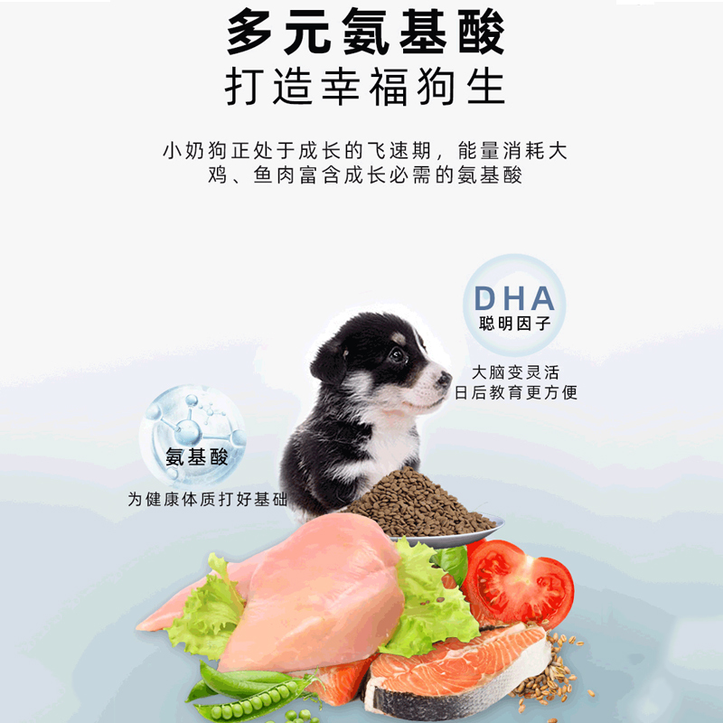 汪爸爸幼犬专用狗粮离乳期小型犬泰迪比熊金毛柯基通用型奶糕粮 - 图0