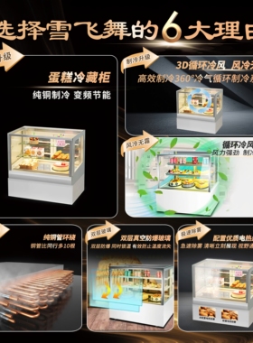 雪飞舞蛋糕柜直角商用奶茶店水果保鲜柜风冷西点展示柜小型甜品