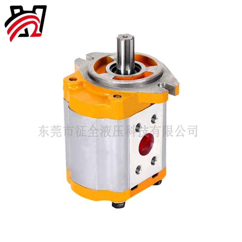 征全齿轮泵油泵液压总成pCBT-F423高压小型迷你纺织五金机械增压 - 图1