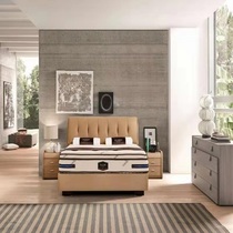 The XI Dream of the P6900 bed frame