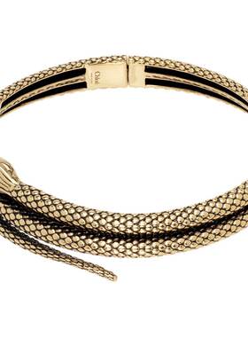Chloe 蔻依 女士 The Snake 项链 CHC24WFO71CB79DCGold