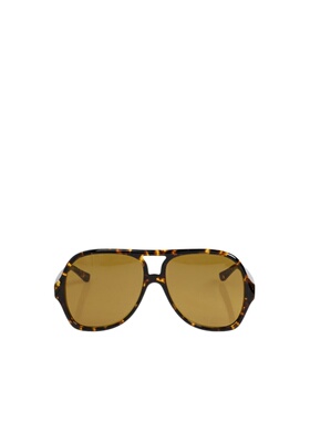 CHLOÉ 女士眼镜 CH0289S006 AW2026 棕色 全框太阳镜