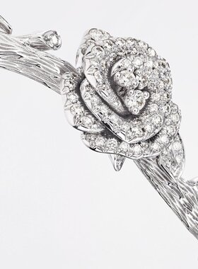 CHRISTIAN DIOR 女士戒指 JBAG940700000 SS2026 支付后1h可退