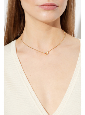 1h可退 VALENTINO GARAVANI 女士项链 9W2J0BG2YCW09MN AW2026