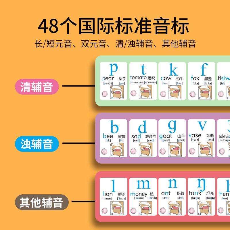 英语音标发音有声挂图48个国际音标英文字母挂图发声表一年级儿童-图2