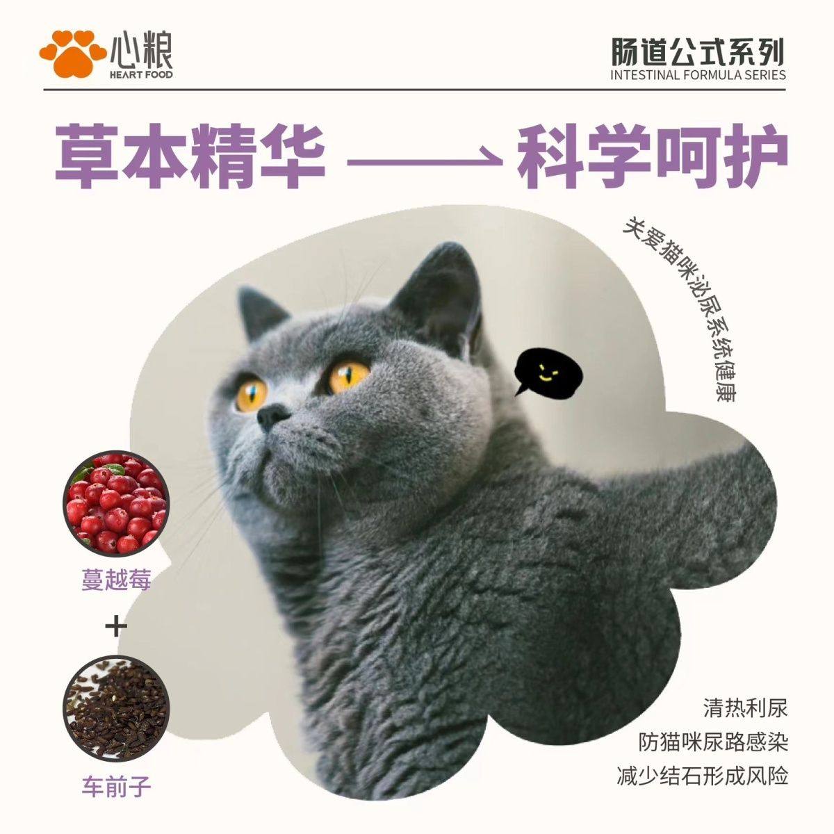 心粮肠道公式赛级冻干猫粮全期幼成猫通用型皮毛养护无谷粮4.5kg,淘宝优惠券,粉丝福利购,淘宝优惠卷