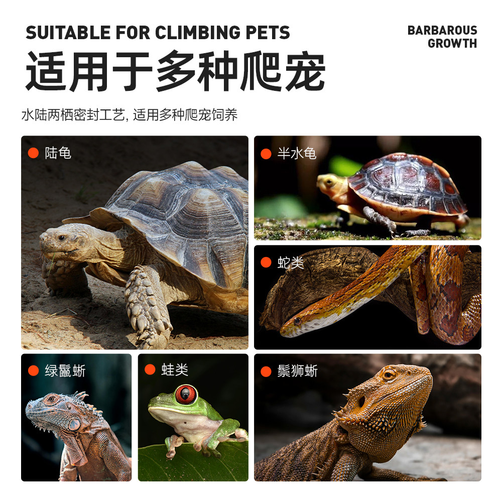 爬宠饲养箱玻璃雨林缸鬃狮蜥蜴守宫角蛙陆龟宠物蛇爬虫生态造景缸,淘宝优惠券,粉丝福利购,淘宝优惠卷