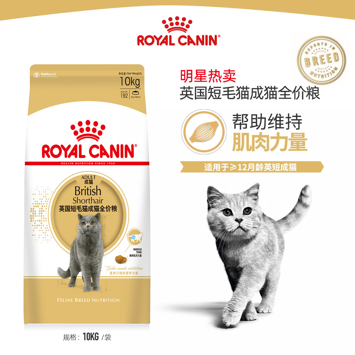 皇家猫粮BS34英短专用猫粮蓝猫美短成猫通用粮营养发腮全价2kg
