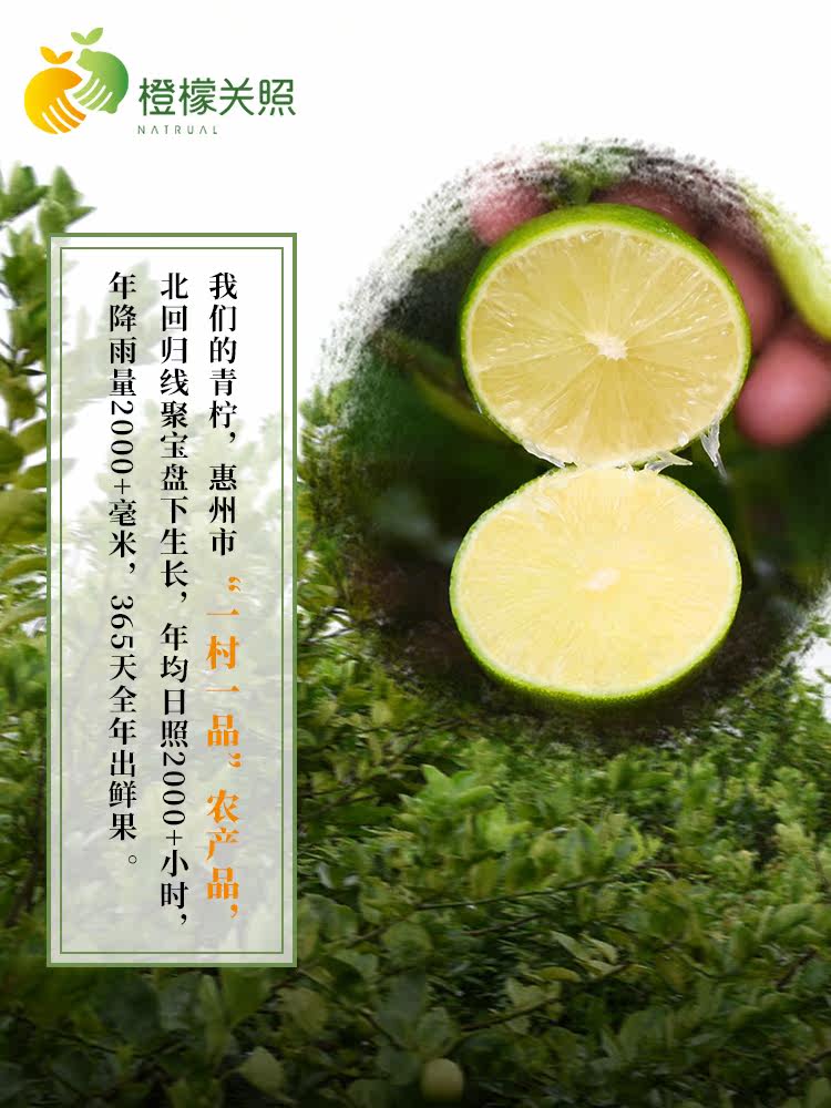  橙檬关照养生茶