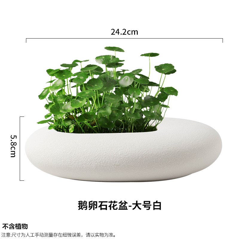 无孔水培花盆简约创意铜钱草绿萝水培植物水养容器大号家居装饰品 - 图2