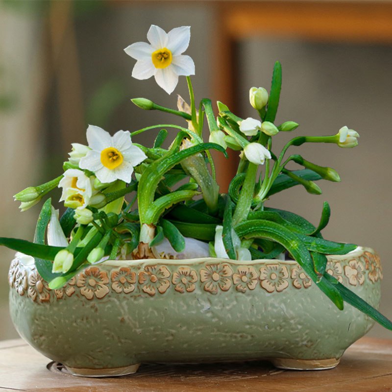 大号陶瓷花盆铜钱草无孔水培睡莲碗莲水仙花绿植盆景大口径多肉盆 - 图0