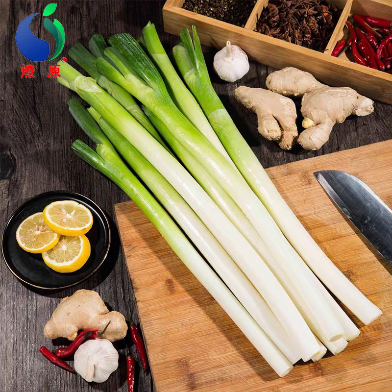 燎原绿色山东大葱 香葱去叶葱白甜葱葱类 特产绿色蔬菜 4斤包邮,淘宝优惠券,粉丝福利购,淘宝优惠卷