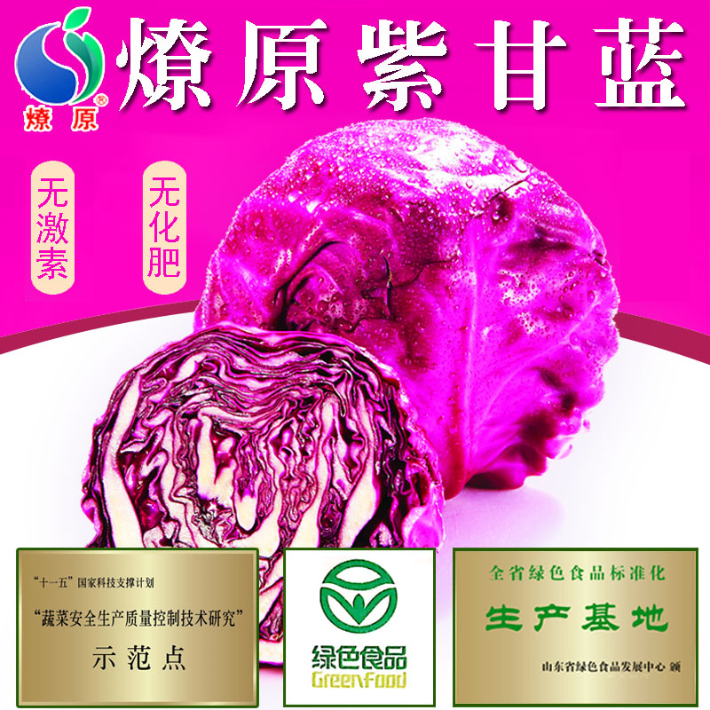 燎原紫甘蓝绿色新鲜蔬菜沙拉菜椰菜包菜卷心菜3斤包邮-图0