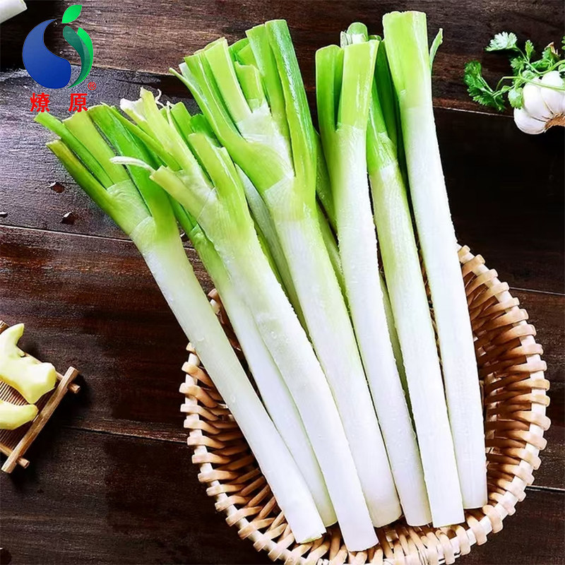 燎原绿色山东大葱 香葱去叶葱白甜葱葱类 特产绿色蔬菜 4斤包邮,淘宝优惠券,粉丝福利购,淘宝优惠卷