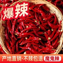 Hot Dry Peppers Wholesale Devil Peppers Dried Chili Pepper Super Spicy Chili Peppers Air-dried Red Pepper.