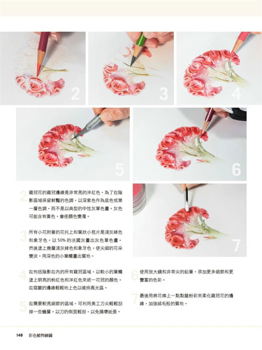 现货 植物艺术绘画的50堂课—美国最具权威的ASBA协会画师教你画 21  麦浩斯 进口原版 特别的技法及构图 水彩渲染 植物艺术绘画 - 图3