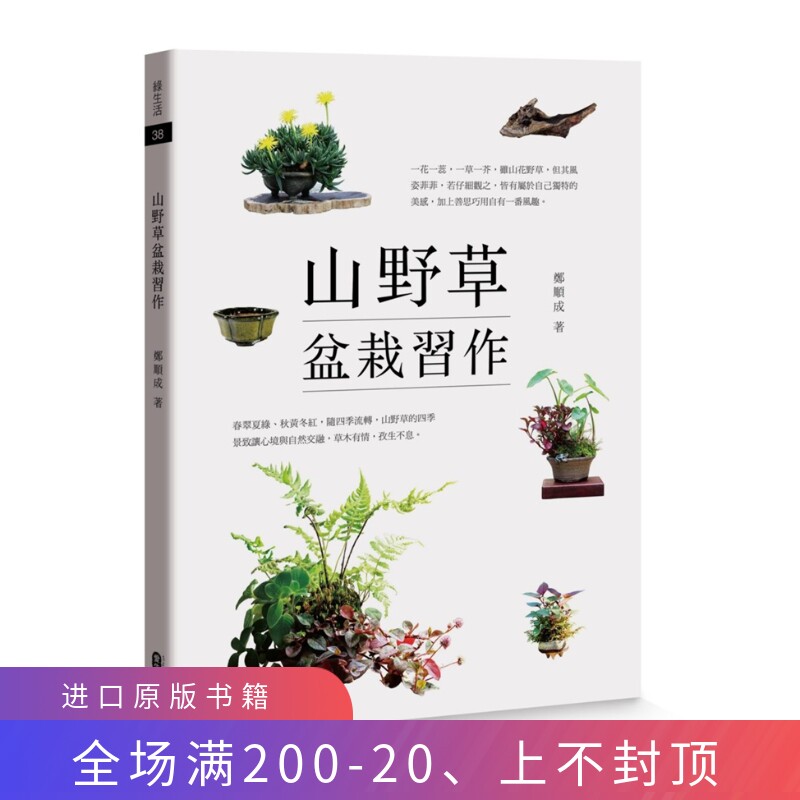 山野草盆 新人首单立减十元 22年2月 淘宝海外